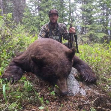 idaho bear hunts,pinpoint outfitters