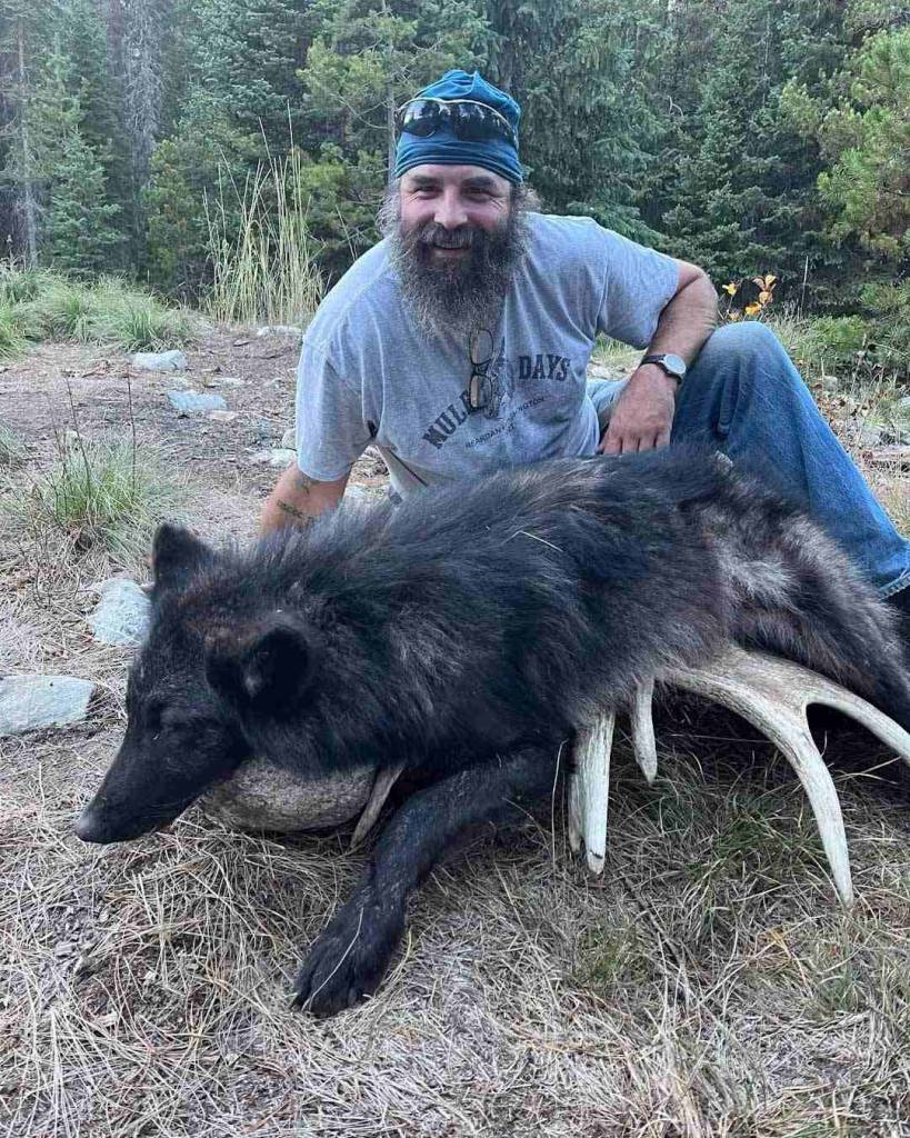 idaho wolf hunt,pinpoint outfitters